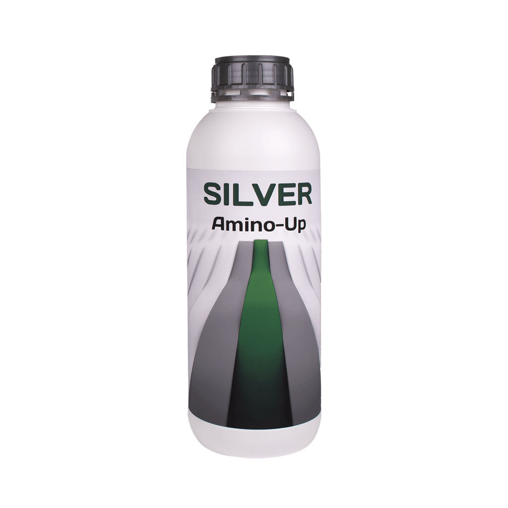 Silver Amino-Up