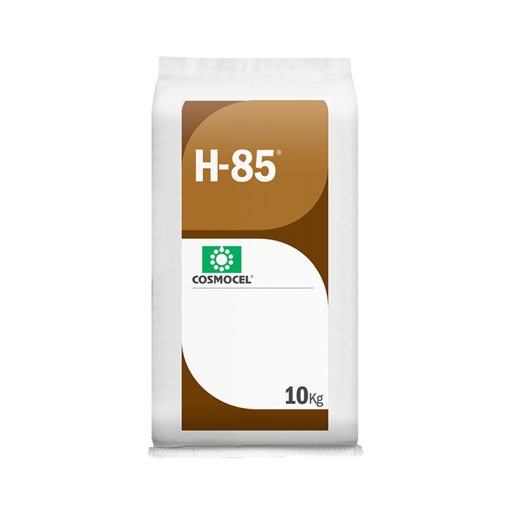 H-85
