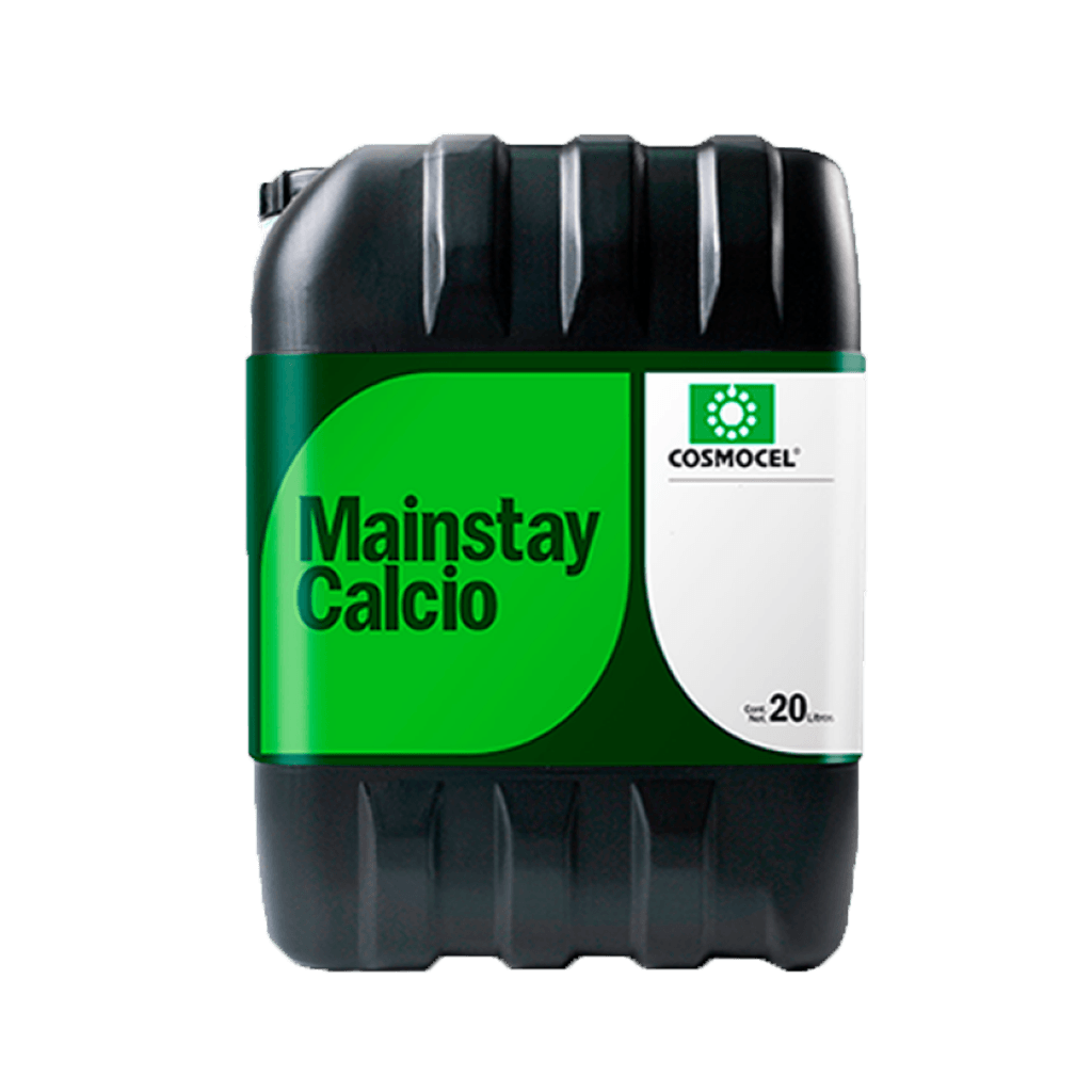Mainstay Calcio