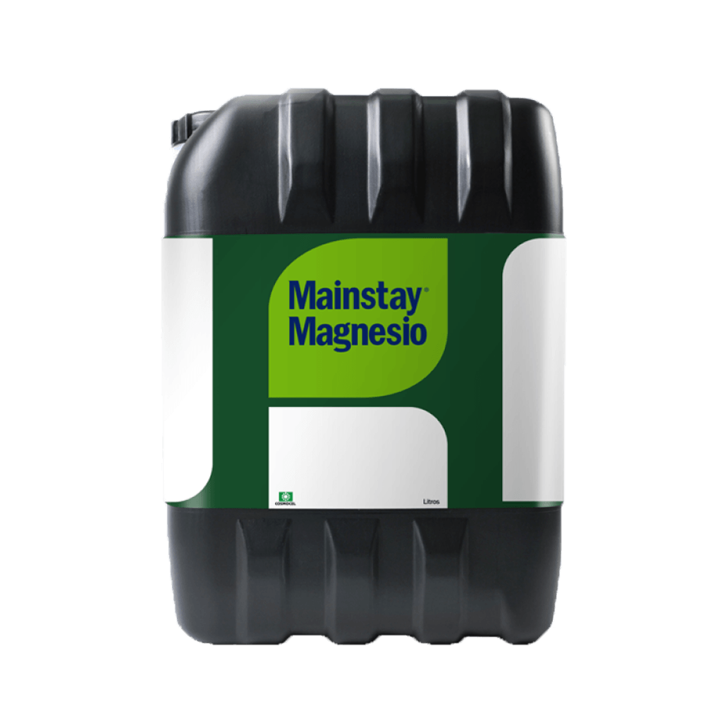 Mainstay Magnesio