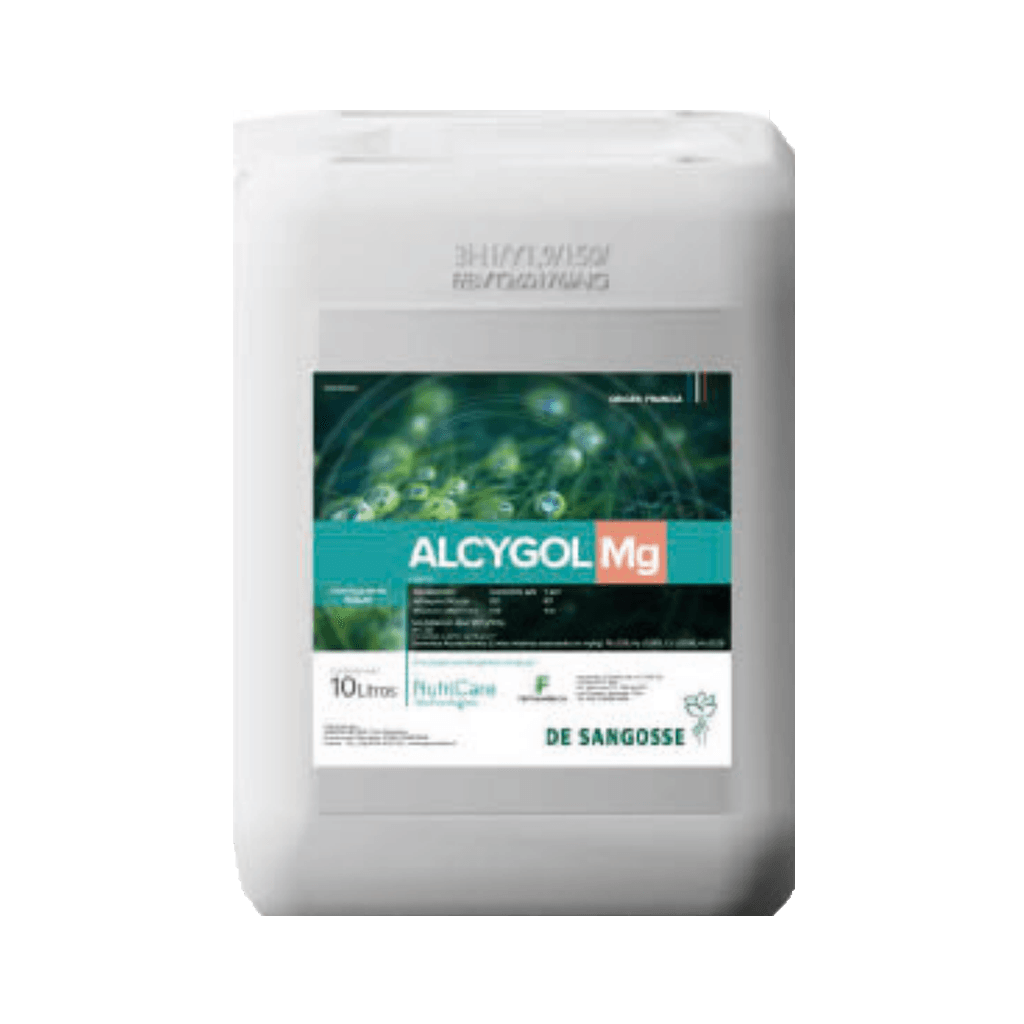 Alcygol Mg