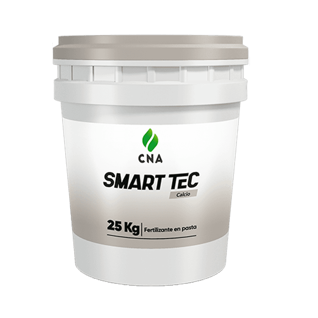 Smart Tec Calcio