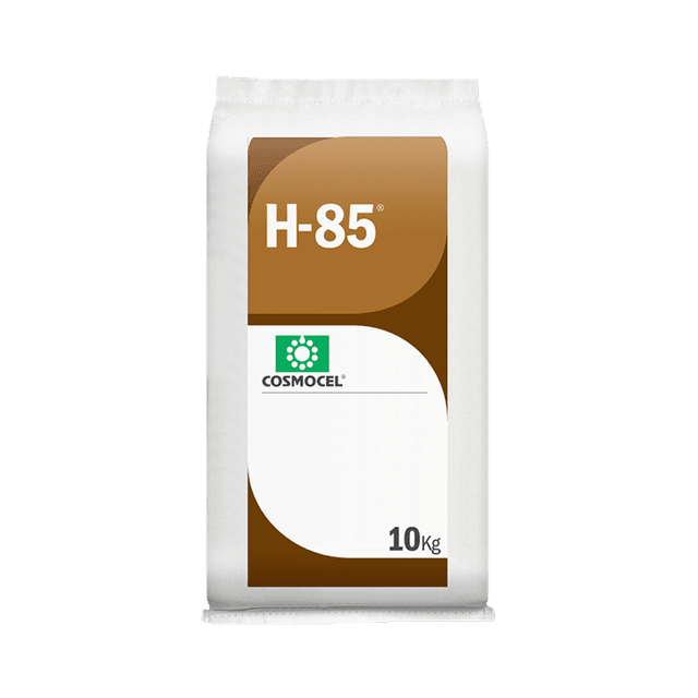 H-85