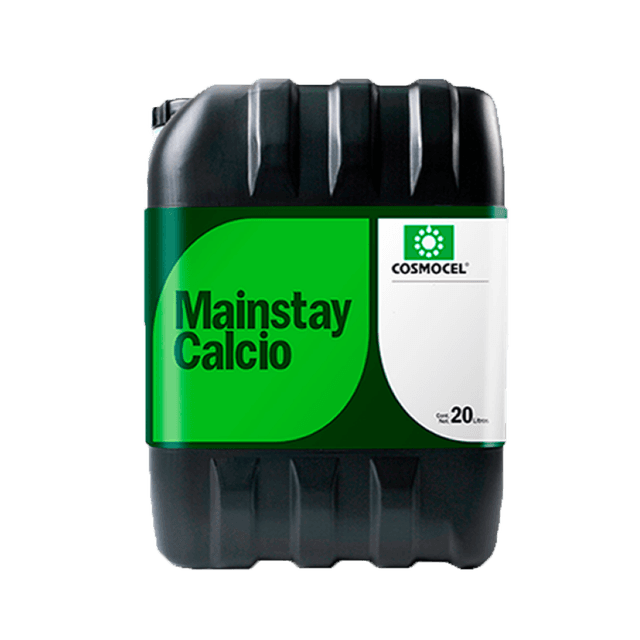 Mainstay Calcio