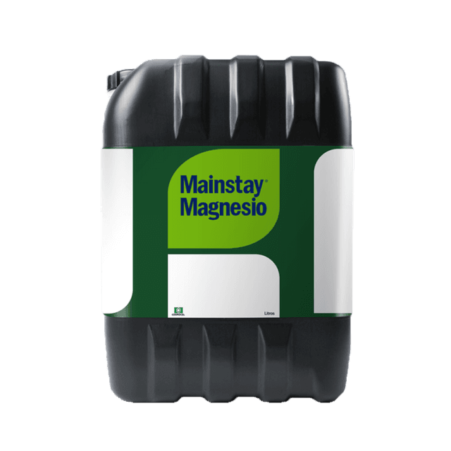 Mainstay Magnesio