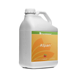 Alpan