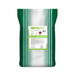 Microstar PZ