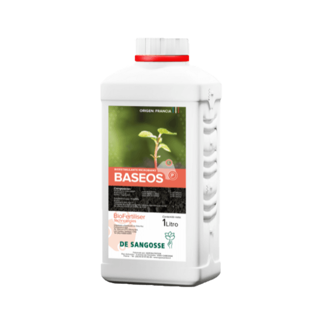 Baseos
