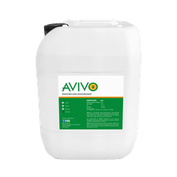 Avivo