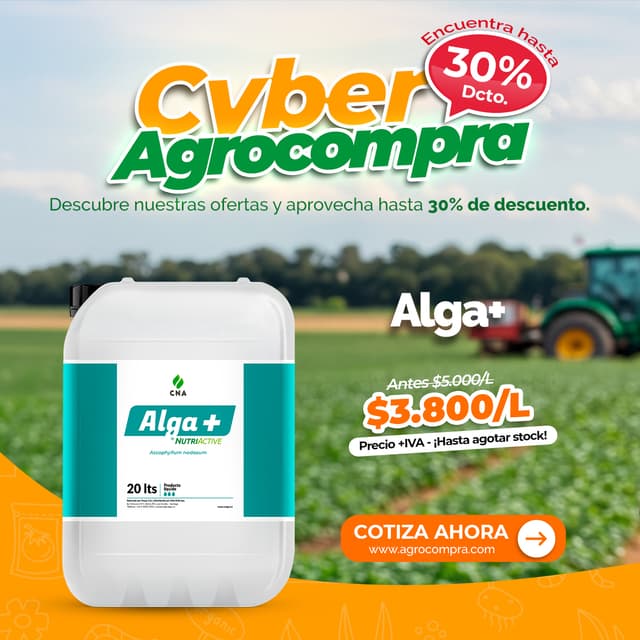 Alga +