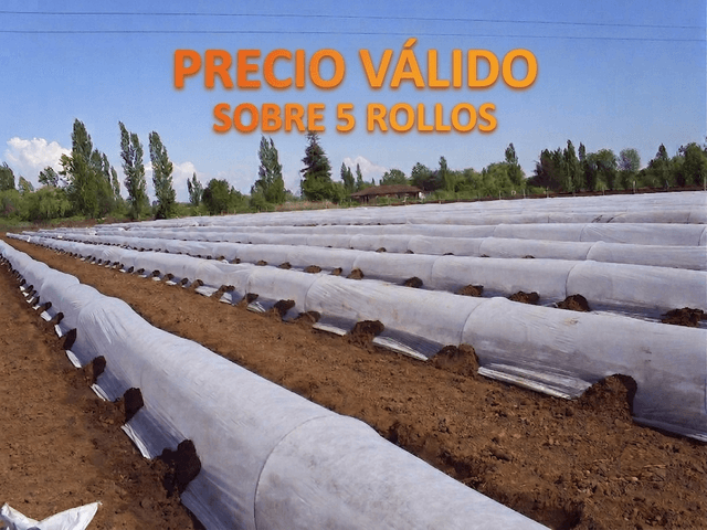 Atntihelada 17 gramos 3,10x1000 mts