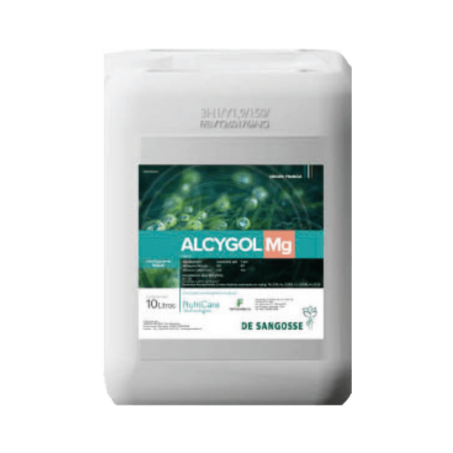 Alcygol Mg