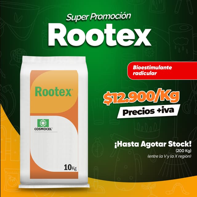 Rootex