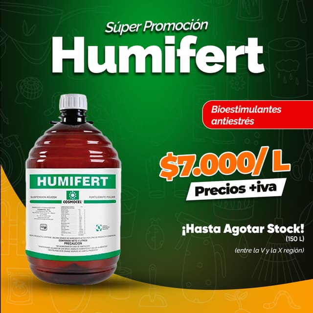 Anti Estrés para Otoño Invierno