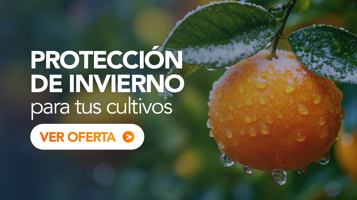 Protección de Invierno